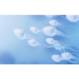   Ondófolyadék neutrális - alfa - glükozidáz (NAG) mennyiségének mérése