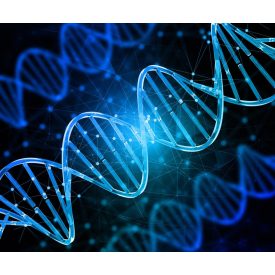 ORIGIN Prémium hordozóság szűrés