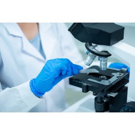 PMN elasztáz mérése ondófolyadékból