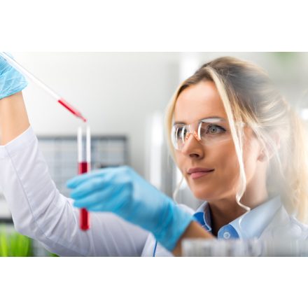 Transzplantációs csomag