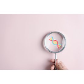 Y kromoszóma mikrodeléció vizsgálat